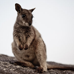 Reportage Australien 11