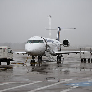 20090228 7598 [D700]   F2,8 80,00mm