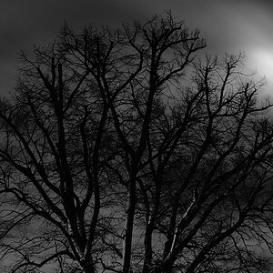 DSC0264 SW