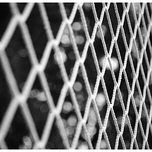 Netz