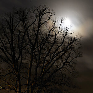 DSC0257 Vollmond 2009