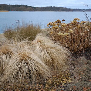Nach dem Frost
