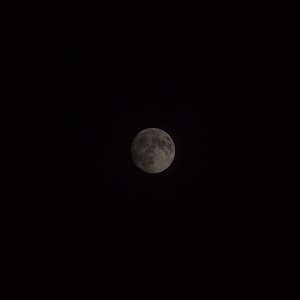 mond2