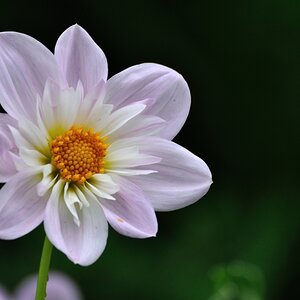 Botanischer Garten 1