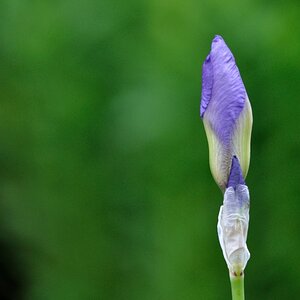 Botanischer Garten 2