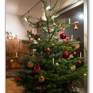baum1