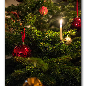 baum2