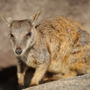 Reportage Australien 29