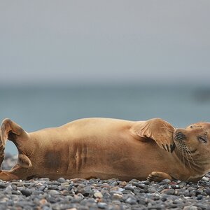 Helgoland 3 0381
Kleines Kunststückchen - versuch das auch mal!