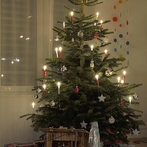 Weihnachtsbaum 2012