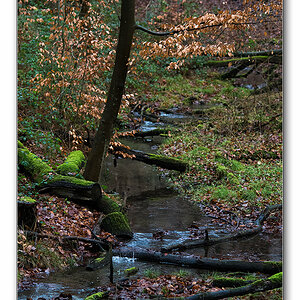 wald2