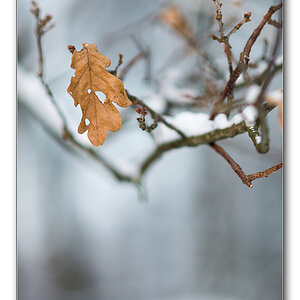 schnee2