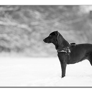 schnee7