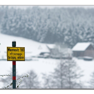 wannebach1
