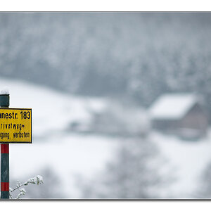 wannebach2