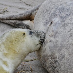 Helgoland 2 0324