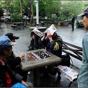 new york16