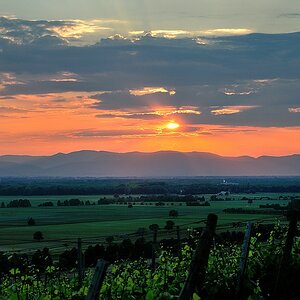Vogesen hinter dem Winklerberg mit Rheintal