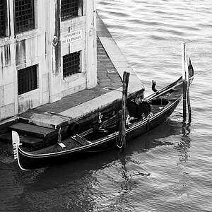 DSC 0594bw