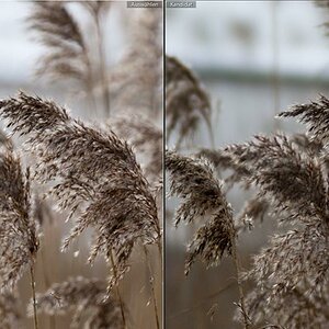 Bokeh 70200 STF Sony STF 135