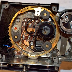 DSC11668