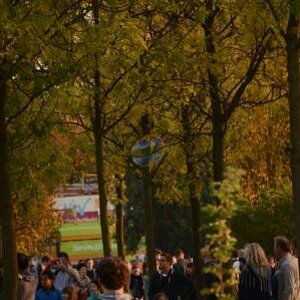 Mauerpark 2012