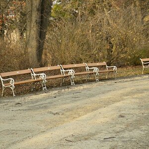 Park