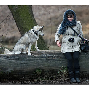 hundewinter4