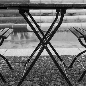 Spaziergang im Neuenheimer Feld (Uni) Heidelberg, Dez. 2013