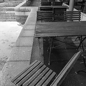 Spaziergang im Neuenheimer Feld (Uni) Heidelberg, Dez. 2013