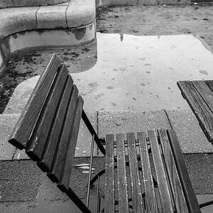 Spaziergang im Neuenheimer Feld (Uni) Heidelberg, Dez. 2013