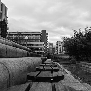 Spaziergang im Neuenheimer Feld (Uni) Heidelberg, Dez. 2013