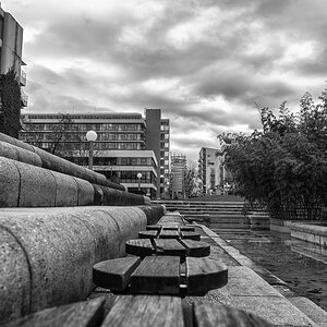 Spaziergang im Neuenheimer Feld (Uni) Heidelberg, Dez. 2013