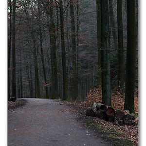 wald8