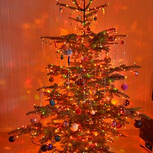 Tannenbaum