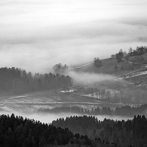 2121225 7406b sw Eidenberg Alm Nebel