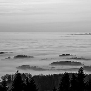 2121225 7425 swb Eidenberg Alm Nebel