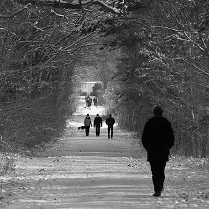 Dresdner Heide im Schnee