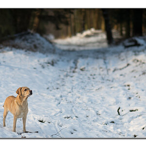 sina im schnee