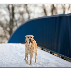sina auf der brücke