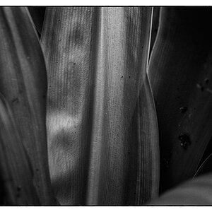 ZooDSC 0181
