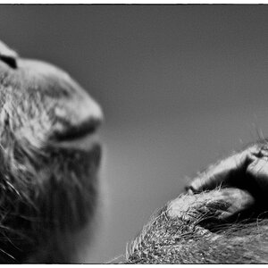 ZooDSC 0216
