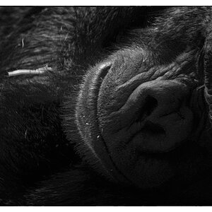 ZooDSC 8369