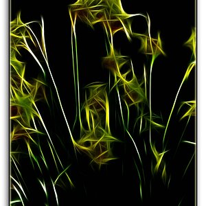 KR DSC 0934 Neon