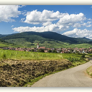 Vogesenblick