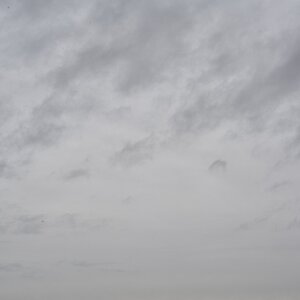 DSC4696 (1)