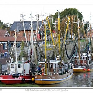 Krabbenfischerflotte im historischen Hafen von Greetsiel 800