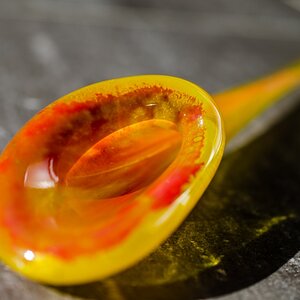 DSC 2951