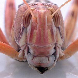Tiefer Blick