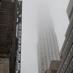 ny webline21
